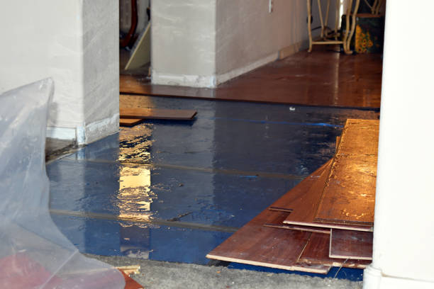 Professional Water Damage Restoration technician working in Orr, MN